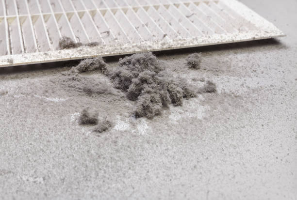 Best Local Air Duct Cleaning Services  in Sheridan, IN