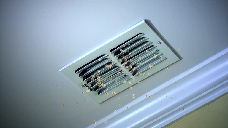 Best Commercial Air Duct Cleaning  in Sheridan, IN