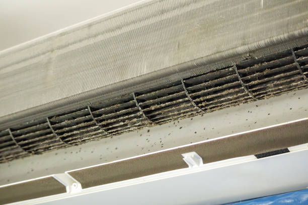 Best Emergency Air Duct Cleaning  in Sheridan, IN